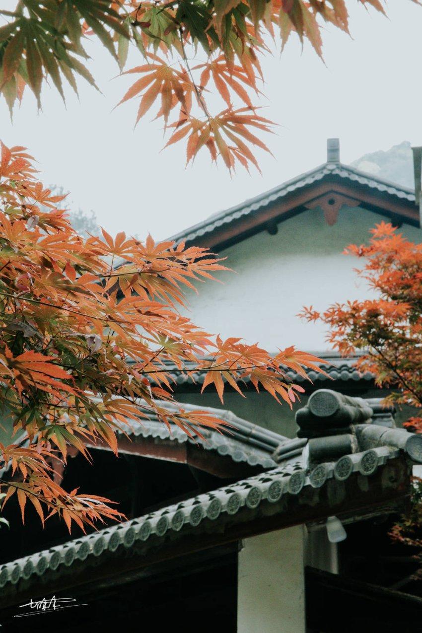 《医女大长今》10月开机 李英爱暌违20年再饰长今