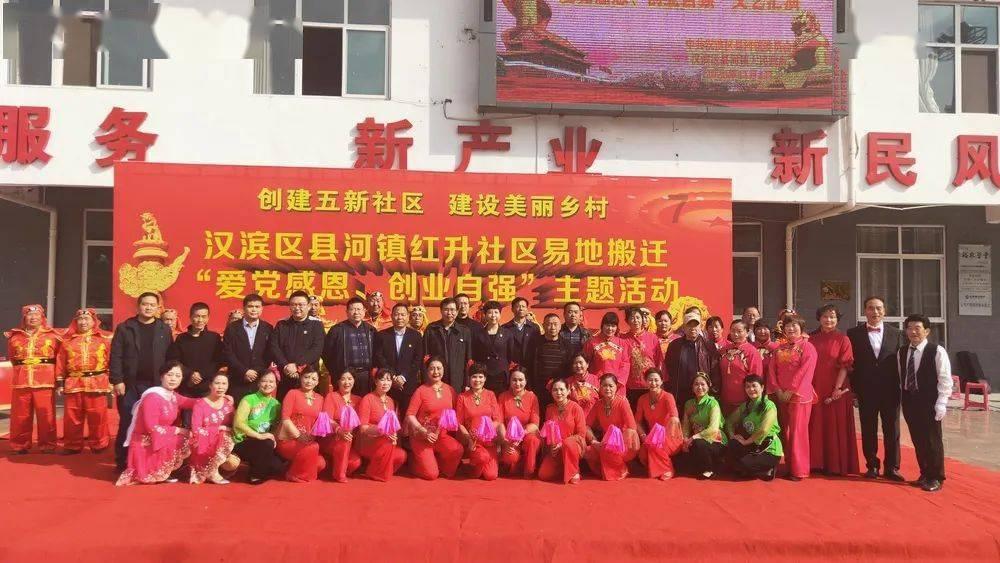 可爱小猫向上跳