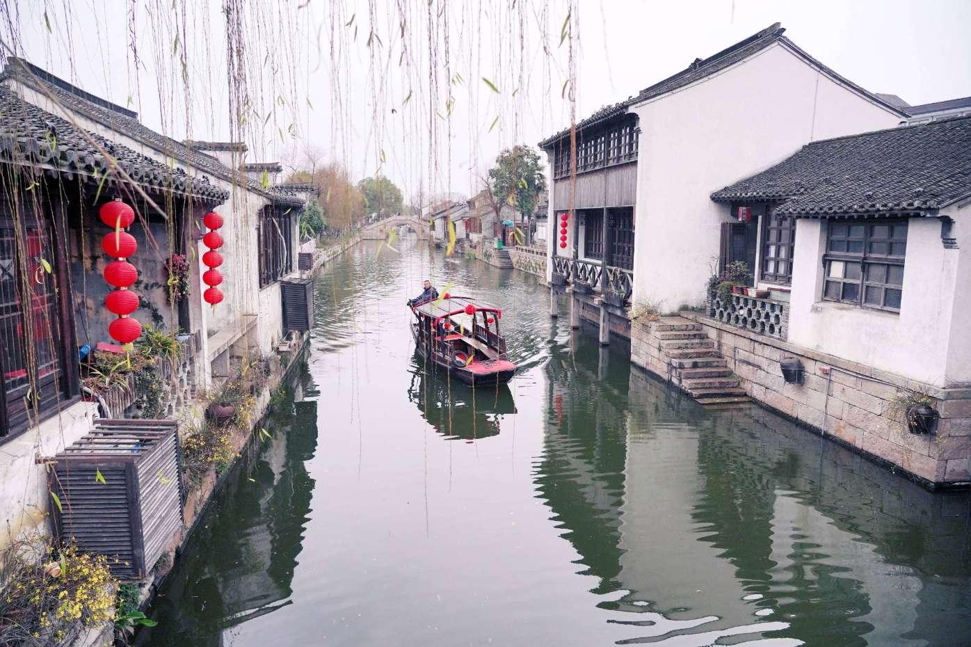可爱猪救援2